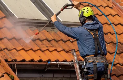 Démoussage et hydrofuge de toiture à Confort